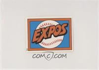 Montreal Expos Team