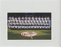 New York Yankees Team #/10,000