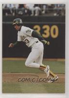 Jose Canseco