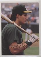 Jose Canseco