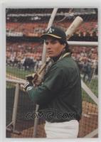 Jose Canseco