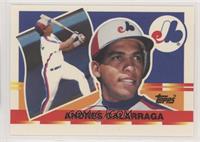 Andres Galarraga