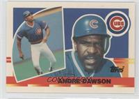 Andre Dawson