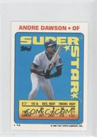 Andre Dawson