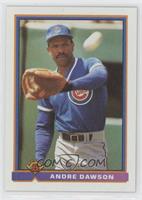 Andre Dawson