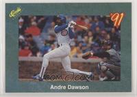 Andre Dawson