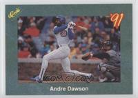 Andre Dawson