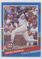 Andre Dawson (5 Purple Stripes on Right Border)