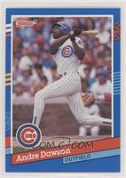 Andre Dawson (8 Blue Stripes on Right Border)