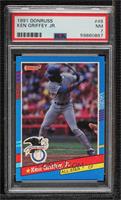 All-Stars - Ken Griffey Jr. (Separated Stripe is Yellow) [PSA 7 NM]