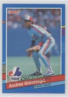 Andres Galarraga (No Blue Stripes on Right Border)