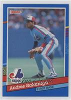 Andres Galarraga (No Blue Stripes on Right Border)