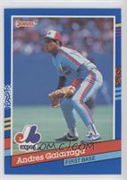 Andres Galarraga (Blue Stripes on Right Border)