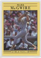 Mark McGwire (Six Lines of Text on Back)