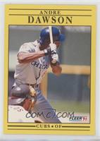 Andre Dawson (Missing 1976 Stat Lines)