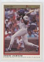 Andre Dawson