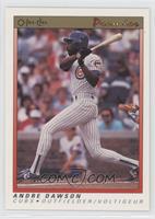 Andre Dawson