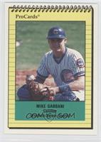 Mike Gabbani