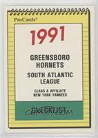 Team Checklist - Greensboro Hornets