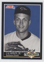 Cal Ripken Jr.