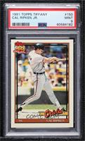 Cal Ripken Jr. [PSA 9 MINT]