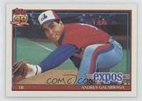 Andres Galarraga (A* Before Copyright; Barely Visible Topps 40th Anniversary Lo…