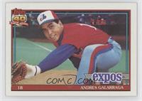 Andres Galarraga (A* Before Copyright; Bold 40th Anniversary Logo on Back)