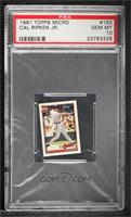 Cal Ripken Jr. [PSA 10 GEM MT]