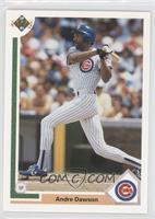 Andre Dawson