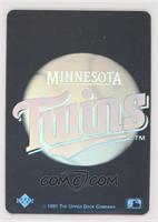 Minnesota Twins