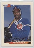 Andre Dawson