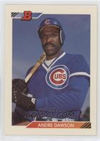 Andre Dawson