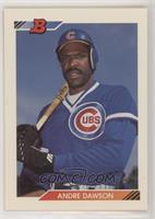 Andre Dawson