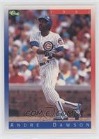 Andre Dawson