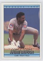 Andre Dawson