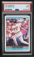 All Star - Cal Ripken Jr. [PSA 9 MINT]