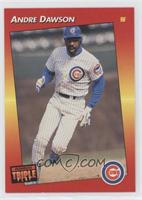 Andre Dawson