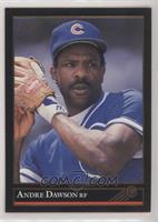 Andre Dawson