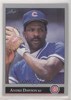 Andre Dawson