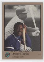 Andre Dawson