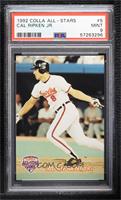 Cal Ripken Jr. [PSA 9 MINT] #/25,000