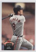 Cal Ripken Jr. (Spelled Ripkin on Back)