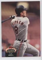 Cal Ripken Jr. (Spelled Ripkin on Back)