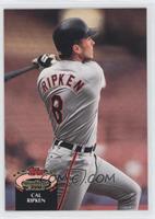 Cal Ripken Jr. (Spelled Ripkin on Back)