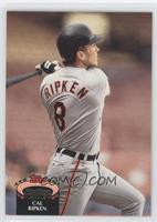 Cal Ripken Jr. (Spelled Ripkin on Back)