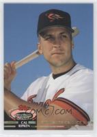 Members Choice - Cal Ripken Jr.