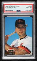 Members Choice - Cal Ripken Jr. [PSA 10 GEM MT]