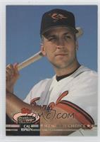 Members Choice - Cal Ripken Jr.