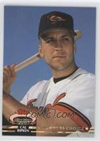 Members Choice - Cal Ripken Jr.