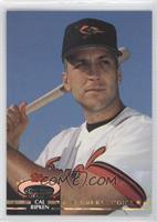 Members Choice - Cal Ripken Jr.